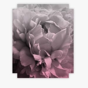 Wall decor home accent peony 16x20 canvas